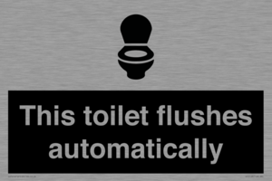 This toilet flushes automatically